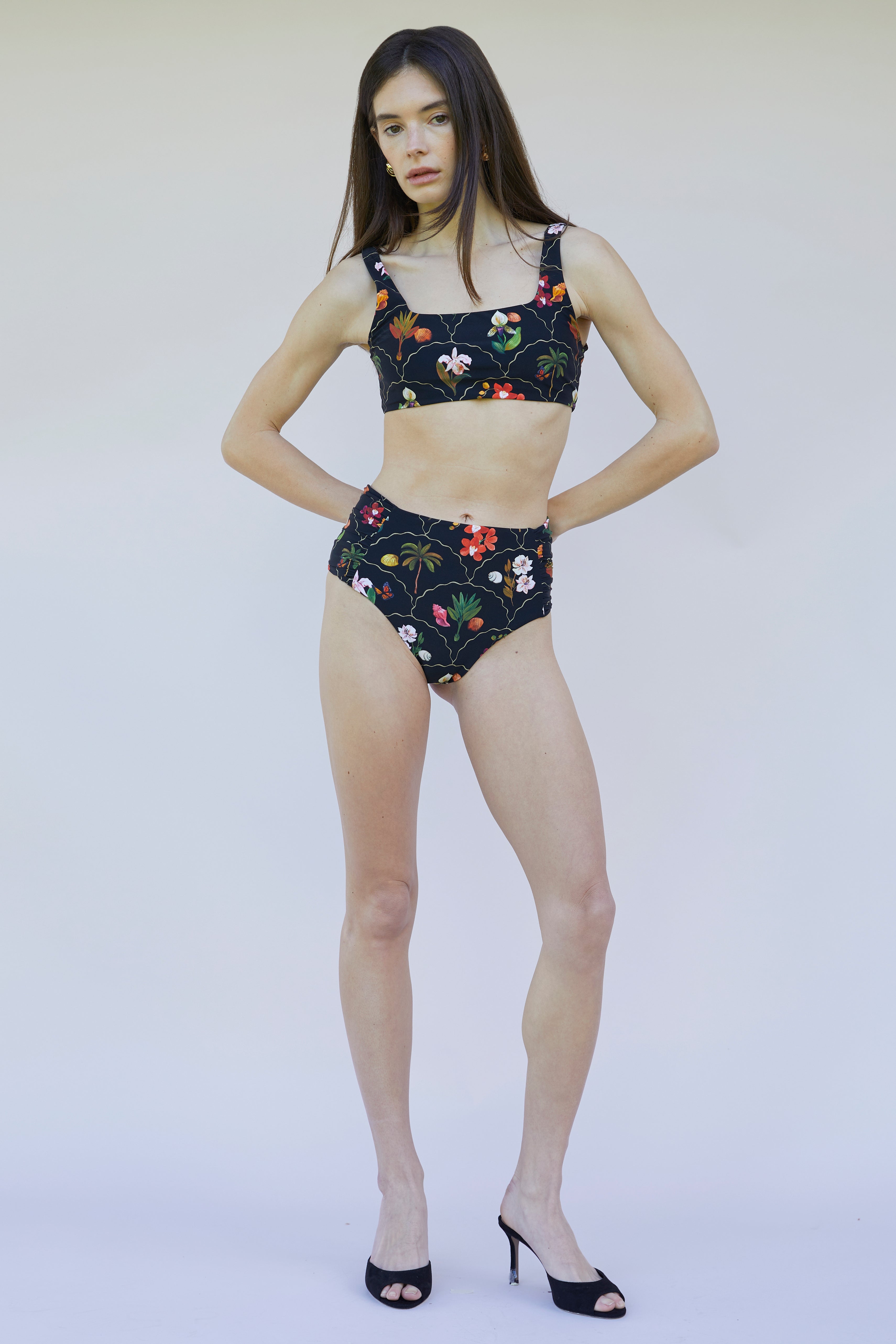 #colore_Dark Botanica