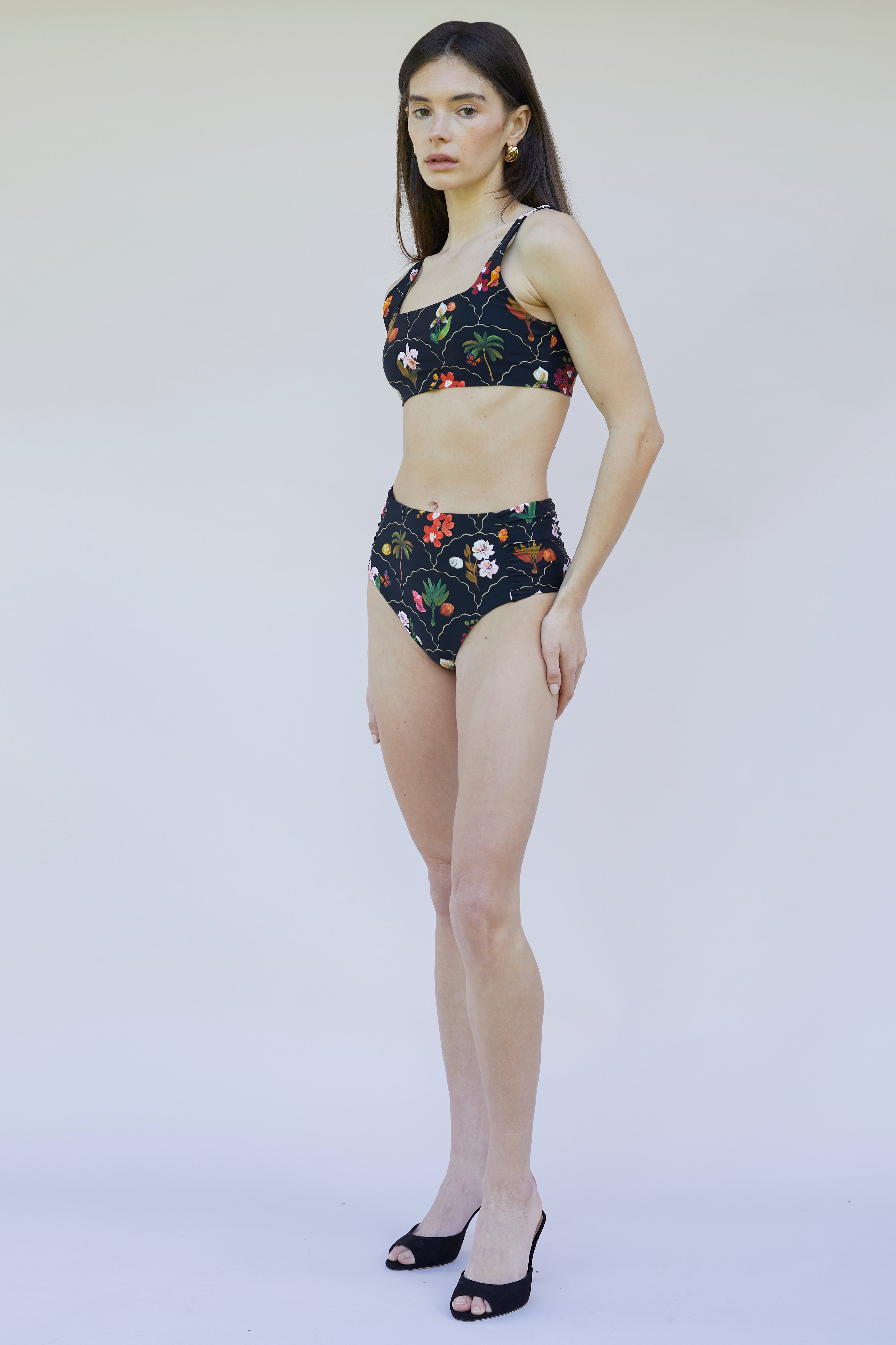 #colore_Dark Botanica